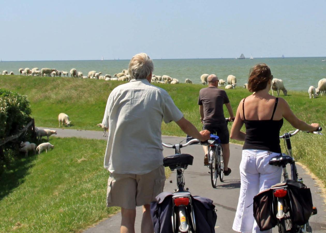 Friesland-Cottage Molkwerum Kültér fotó